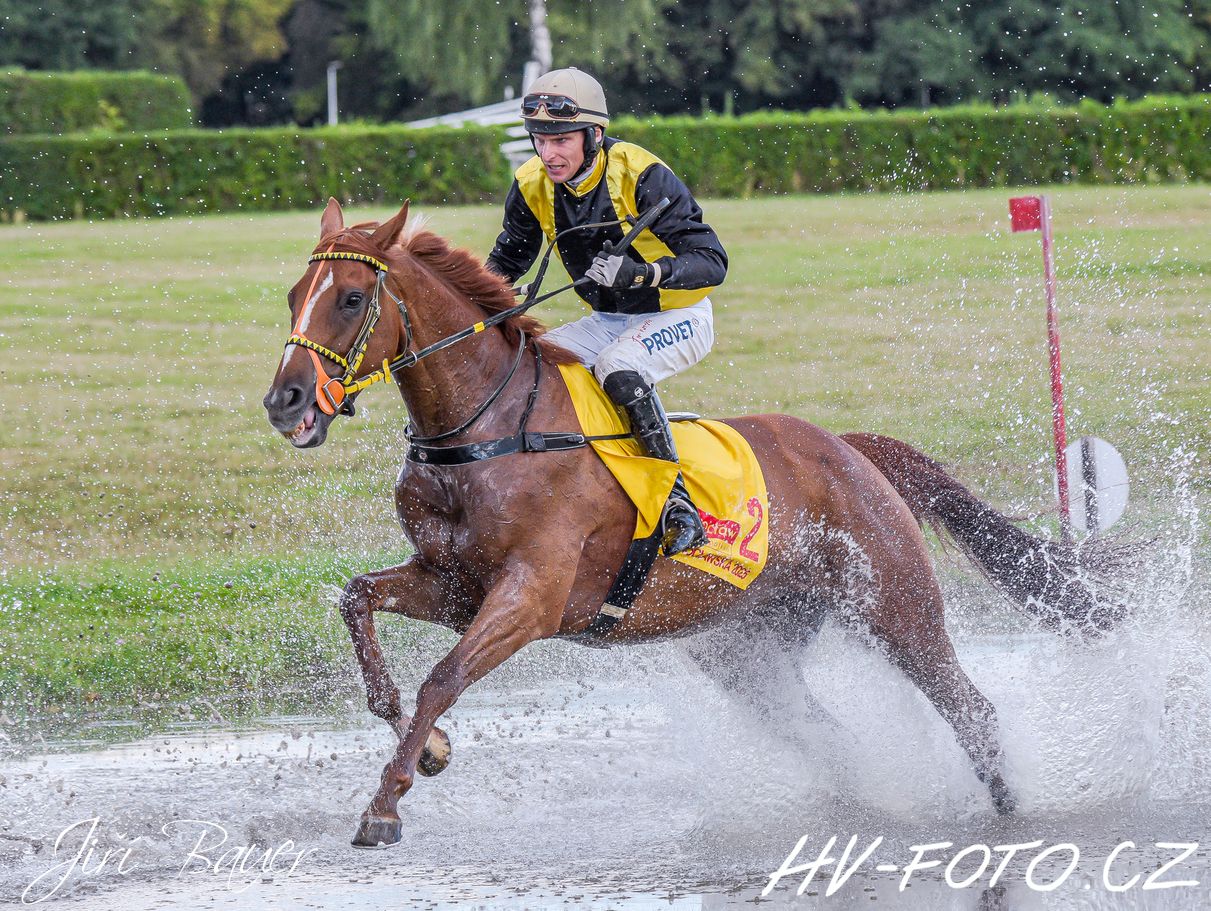 DSC_2955 kopie.jpg